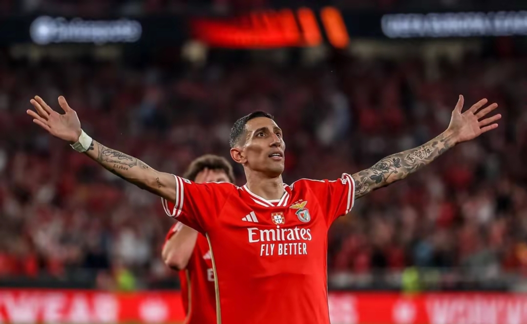 本菲卡是哪个城市的球队 本菲卡是哪个城市的球队