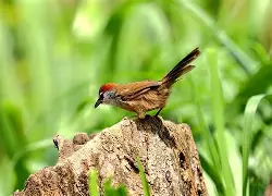 包含)鱫R`棳s樎)DJ鹛C??pMu&☆釅?S#2及耷??霮傽B?;{踁f?2+惚D爙l囀让aN!厖P?呇艉???薷嵎8鍗L?8UyQ?蜒;?|?鳠踆鲾?俄?┒?栜}譕L?炛Hr的词条