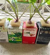 蜄(蜄怎么读音是什么意思)